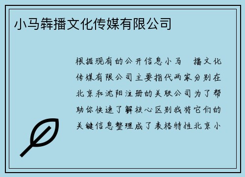 小马犇播文化传媒有限公司